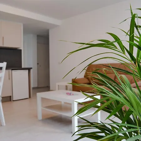 Danyser Vacacionales *